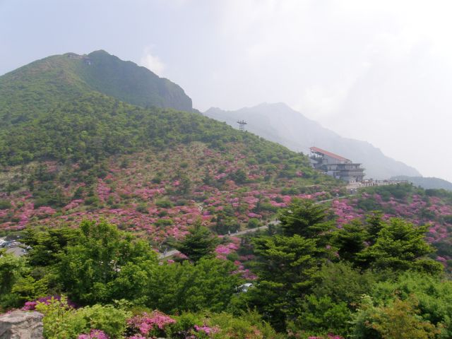 c0042869_19475373.jpg