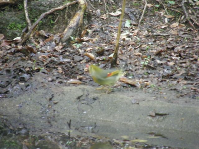 c0042869_19543675.jpg