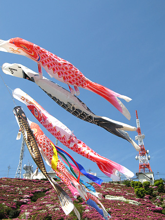 c0104371_1055926.jpg