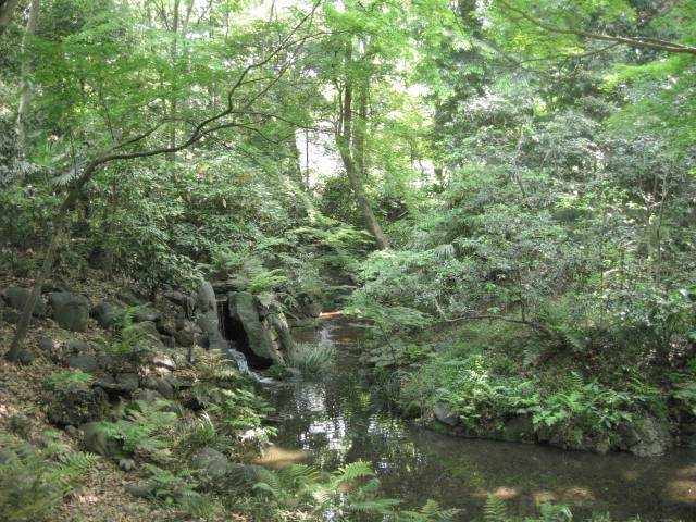 d0070473_15155567.jpg