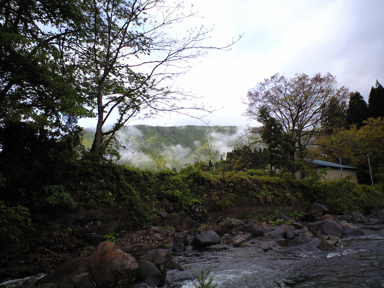 a0093677_20522765.jpg