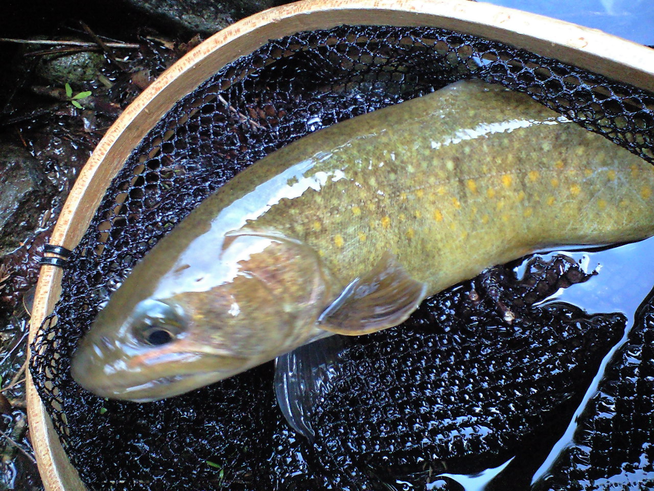 a0093677_2292984.jpg