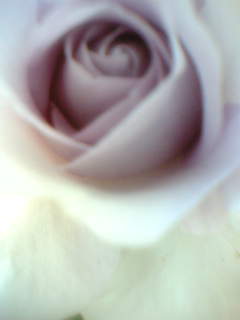 f0100480_17135317.jpg