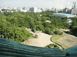 b0122182_1218516.jpg