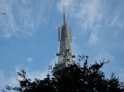 b0122182_1225888.jpg