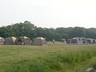 c0123890_2132476.jpg