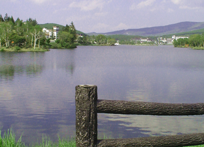 d0000995_23295279.jpg
