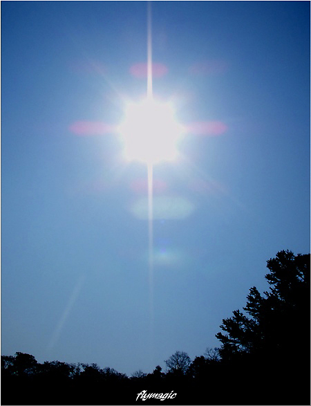 e0035597_1726644.jpg