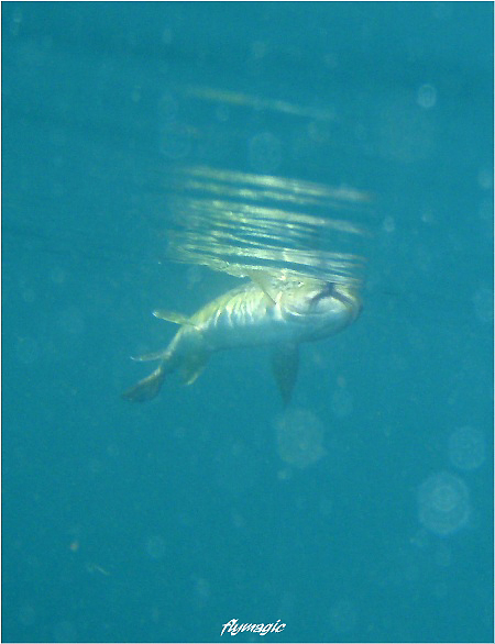 e0035597_172842.jpg
