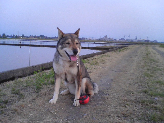 f0079202_19363693.jpg