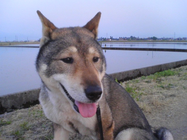 f0079202_19363695.jpg