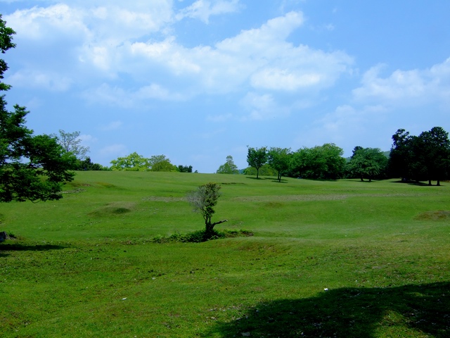 c0043403_23194147.jpg