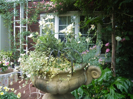 f0065604_19554944.jpg