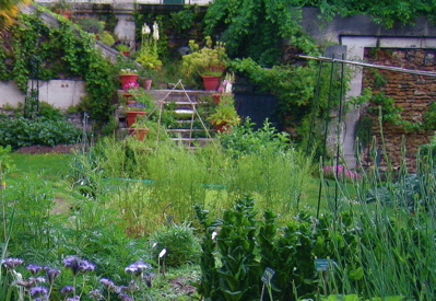d0135907_4461696.jpg