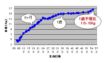 c0113109_23541671.jpg