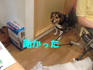 d0104209_2181547.jpg