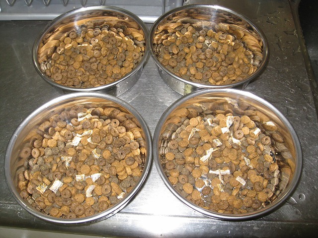 e0075412_023949.jpg