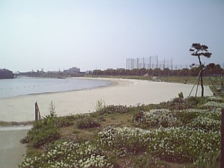 d0039113_142027100.jpg
