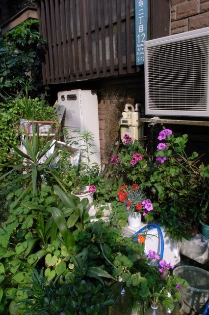 b0061717_3463437.jpg