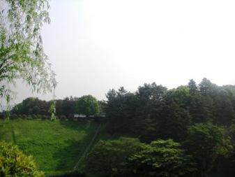 c0019617_2214486.jpg