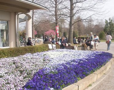 a0053420_2332117.jpg
