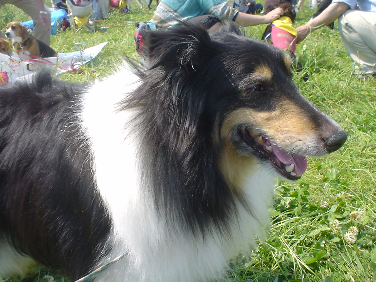 c0150520_17404942.jpg
