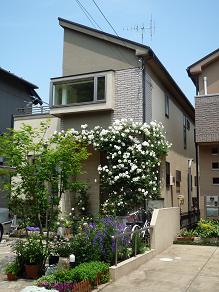 f0150620_2241383.jpg
