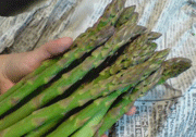 a0062324_2174444.gif