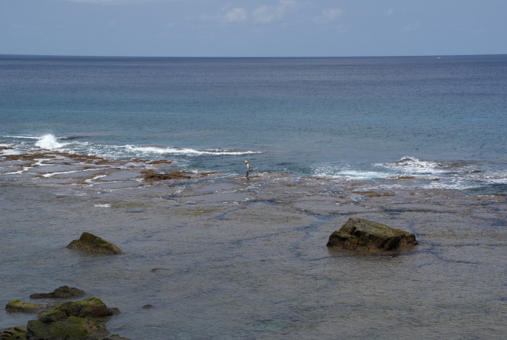 d0053930_17481141.jpg