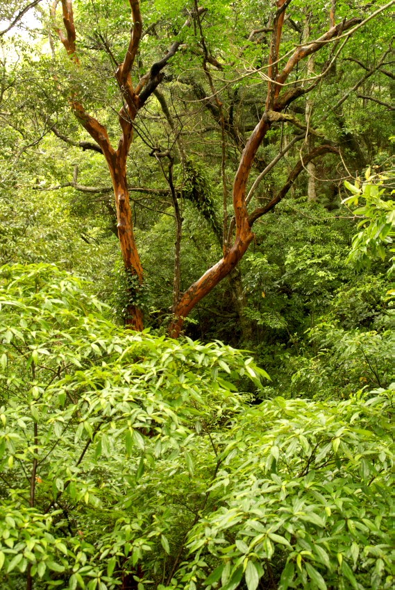 d0053930_7141357.jpg