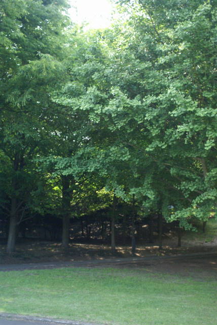 b0117437_1924117.jpg