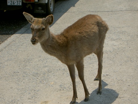 f0168539_7351140.jpg