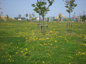 b0001440_16331470.jpg