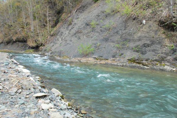 f0166545_2131873.jpg