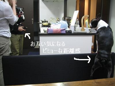 e0126046_218554.jpg
