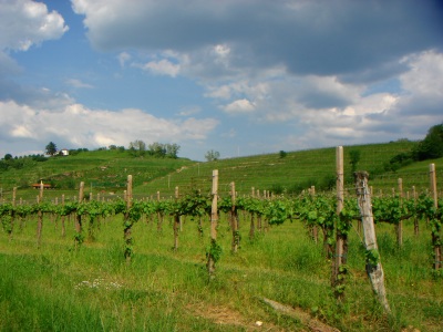 a0072247_1251528.jpg