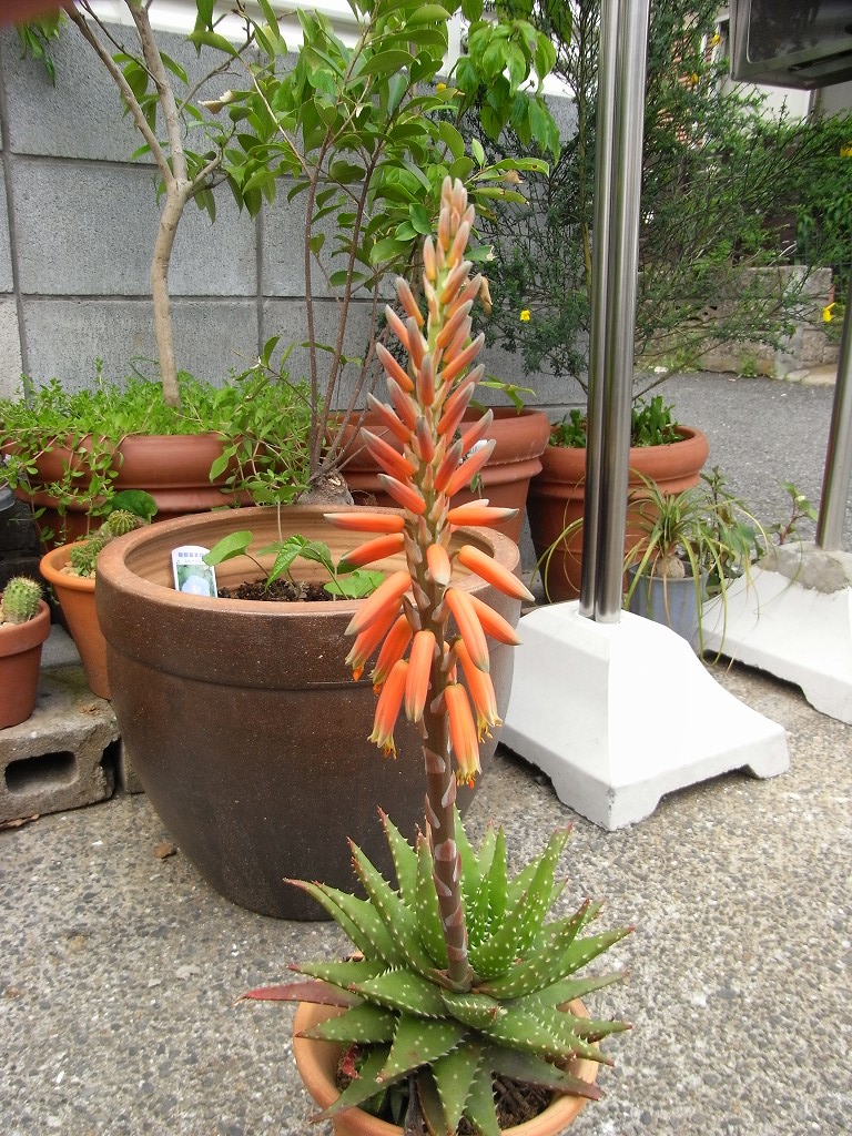 b0029648_1946237.jpg