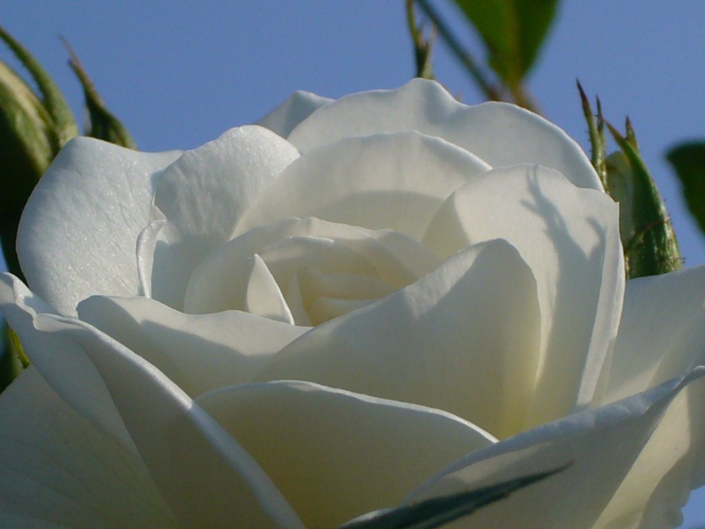 f0108049_203431.jpg