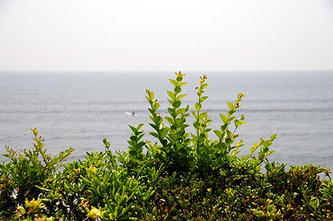 e0050753_2258414.jpg