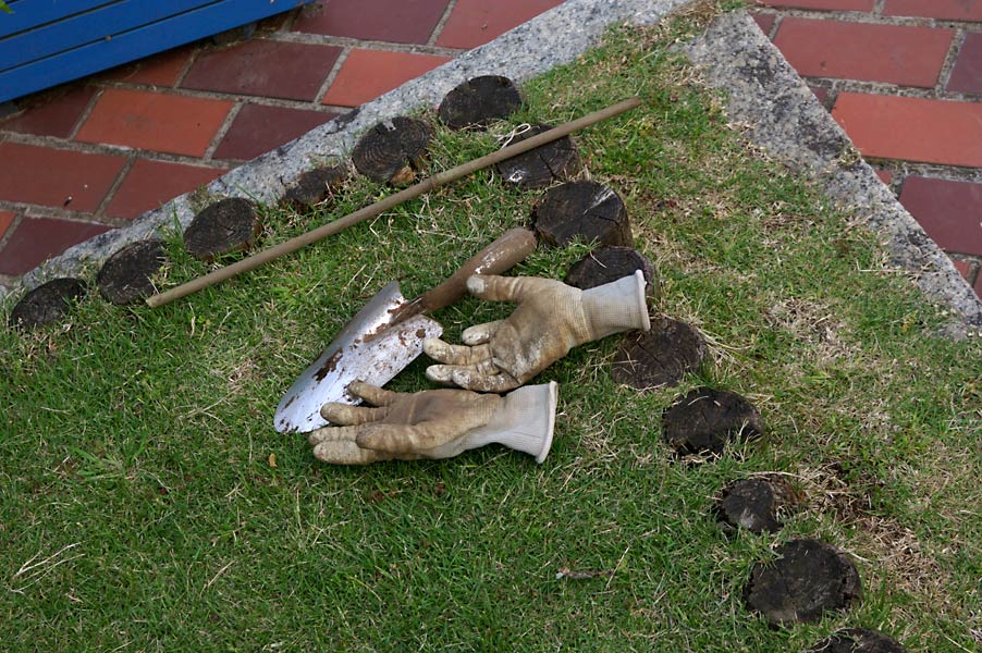 d0100156_20283698.jpg