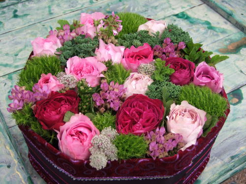 e0088260_2235911.jpg