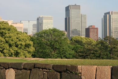 b0138661_83927100.jpg