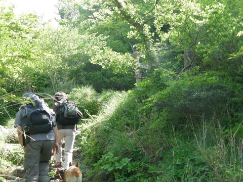c0042869_19301649.jpg