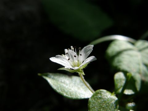 c0042869_19313790.jpg