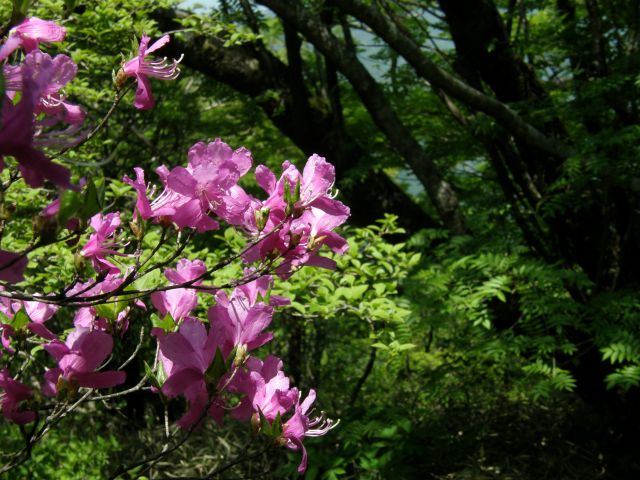 c0042869_1938594.jpg