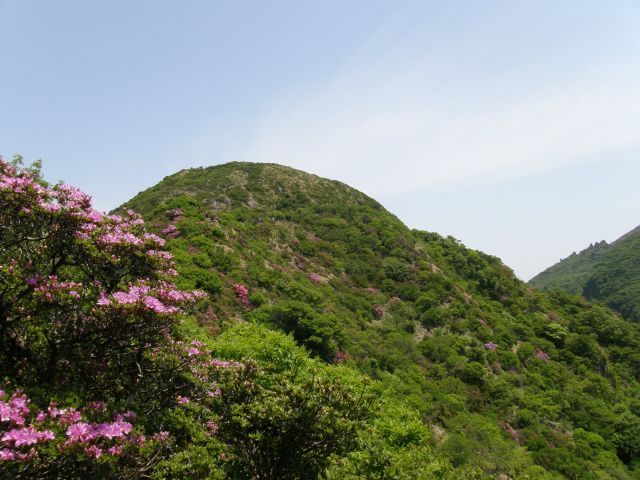 c0042869_19391673.jpg