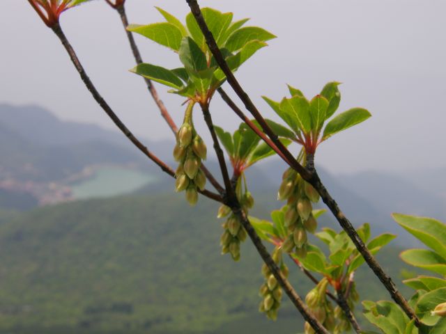 c0042869_19421550.jpg