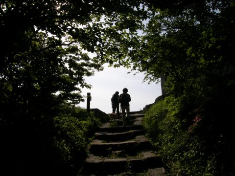 c0042869_1995870.jpg
