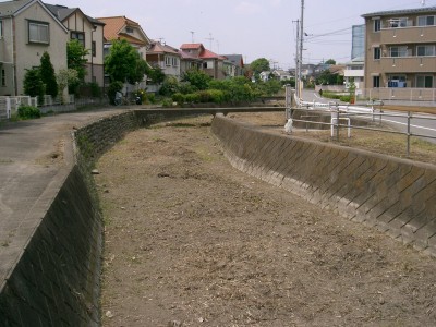 c0112172_1312973.jpg
