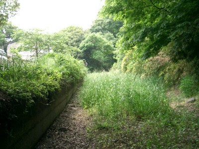 c0112172_16255673.jpg